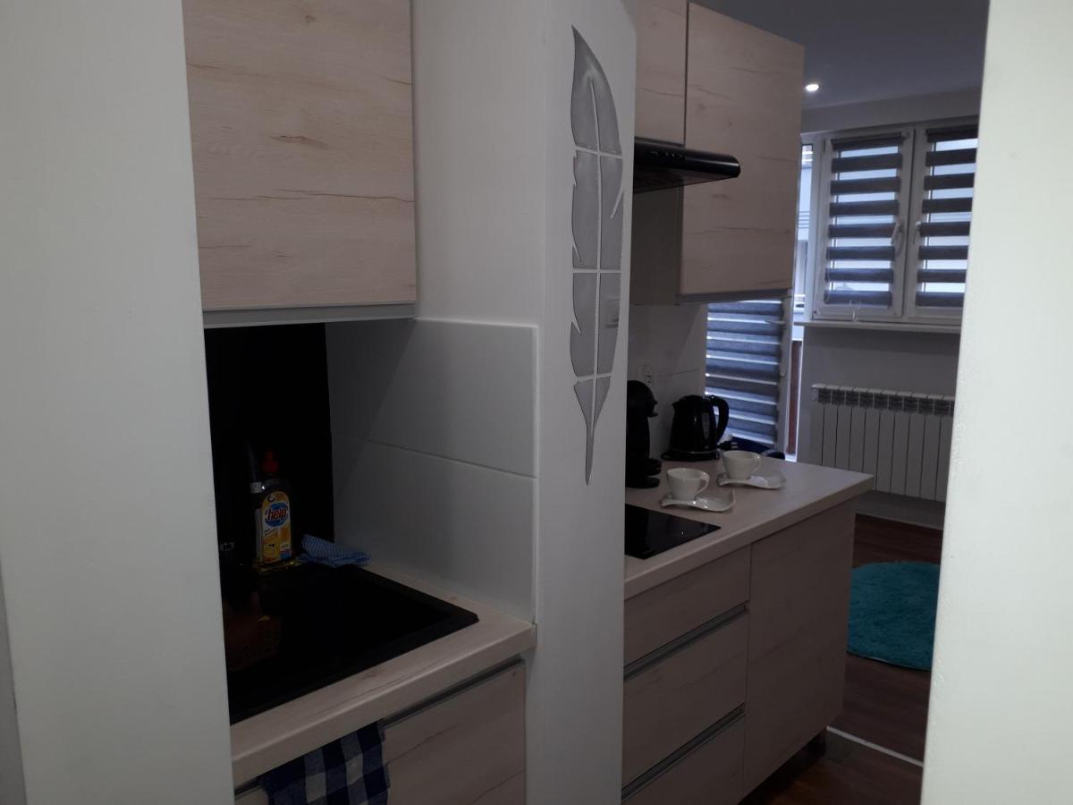 Apartamenty Centrum Mala Dwojeczka Blekitna Panoramiczna Balkonem Promenada Kielce Buitenkant foto